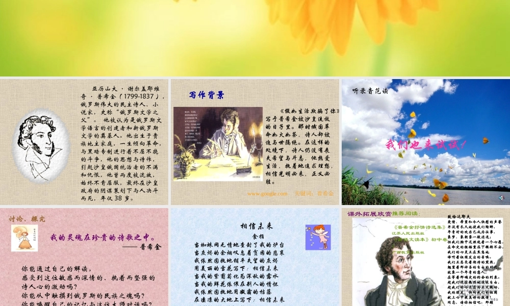 九年级语文下册假如生活欺骗了你ppt0 课件