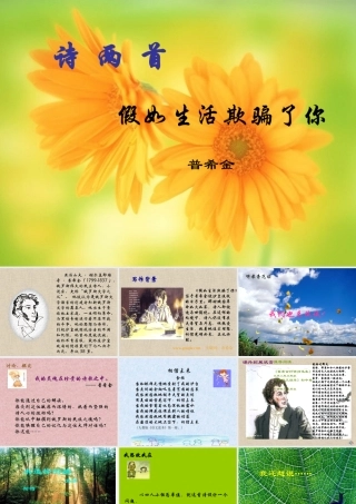 九年级语文下册假如生活欺骗了你ppt0 课件