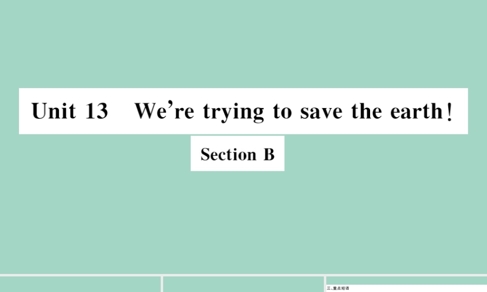 九年级英语全册 Unit 13 We re trying to save the earth Section B作业课件 (新版)人教新目标版 课件