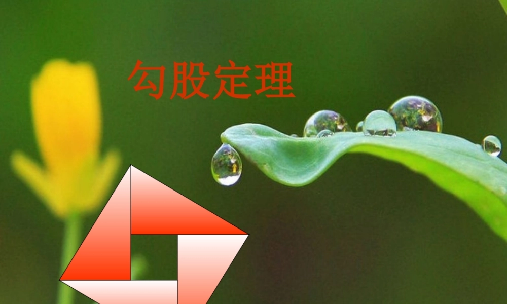 八年级数学上册 第一章第1节勾股定理课件 北师大版 课件