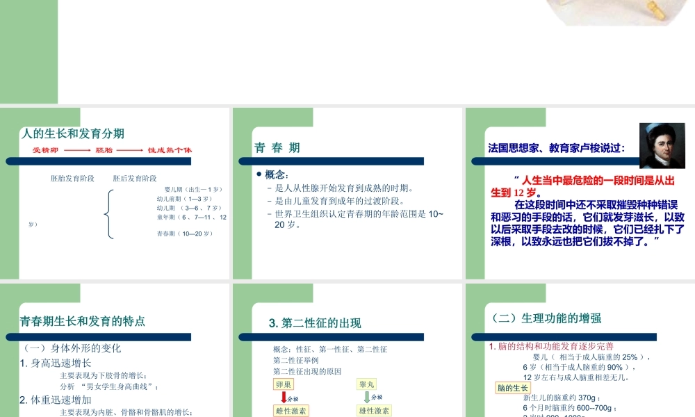 八年级生物上册第三章人的生殖发育课件