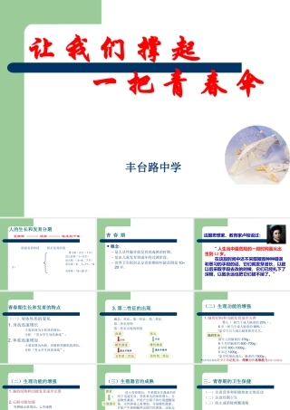 八年级生物上册第三章人的生殖发育课件