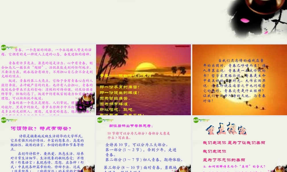 八年级语文下册(我们和青春对话)课件 鄂教版 课件