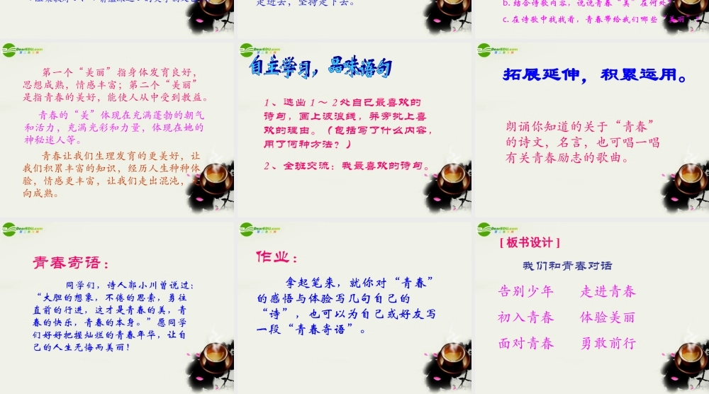 八年级语文下册(我们和青春对话)课件 鄂教版 课件