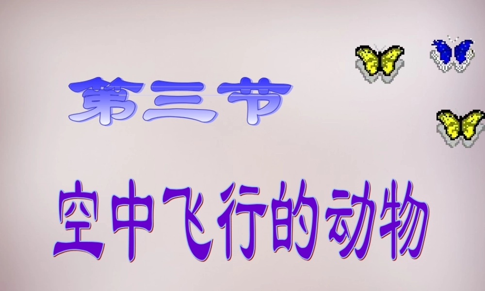 八年级生物上册 第5单元 第1章 第6节(鸟)课件 (新版)新人教版 课件