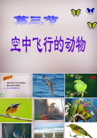 八年级生物上册 第5单元 第1章 第6节(鸟)课件 (新版)新人教版 课件