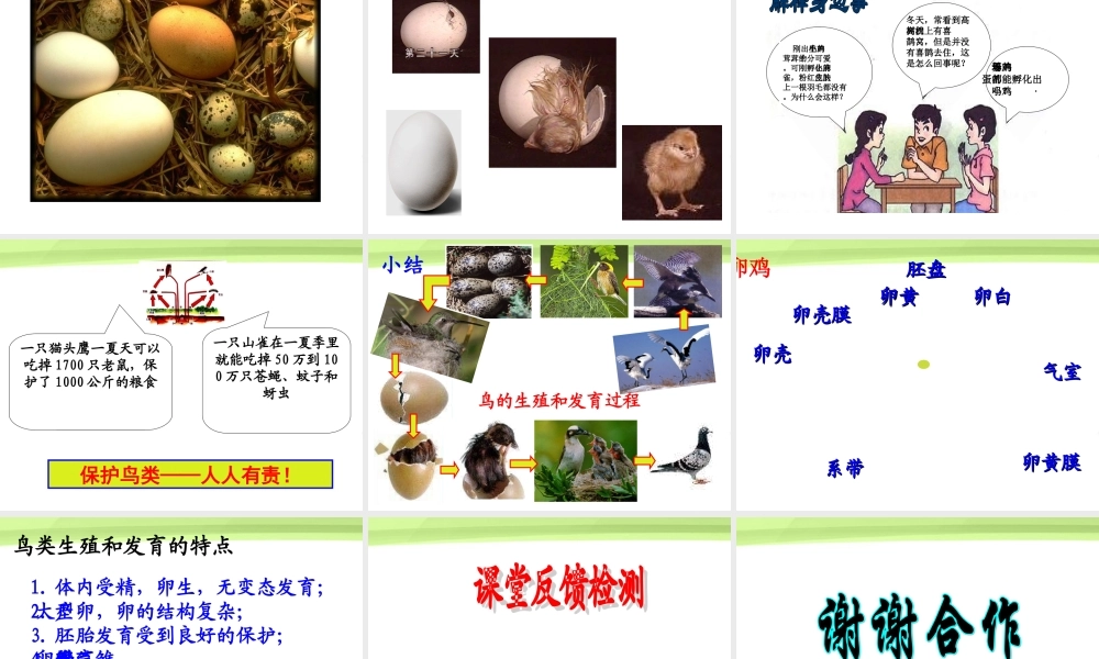 八年级生物下册 7.1.4鸟的生殖和发育课件 人教新课标版 课件