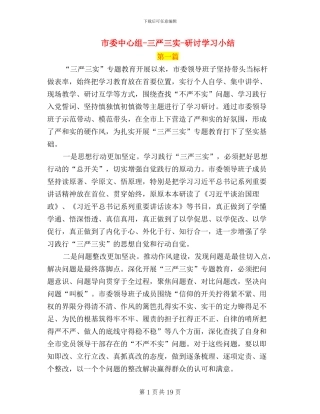 市委中心组-三严三实-研讨学习小结