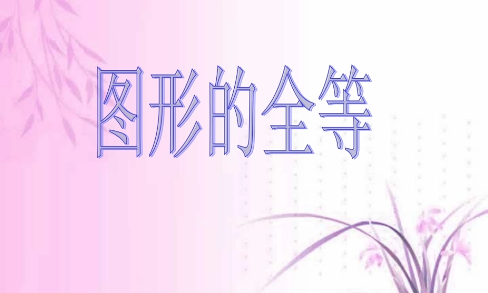 图形的全等第二十四章课件示例二 课件