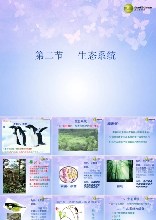 中学七年级生物上册 1.2.4 生态系统课件5 新人教版 课件