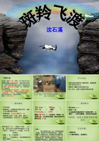 中学七年级语文下册 6.27(斑羚飞渡)课件 (新版)新人教版 课件