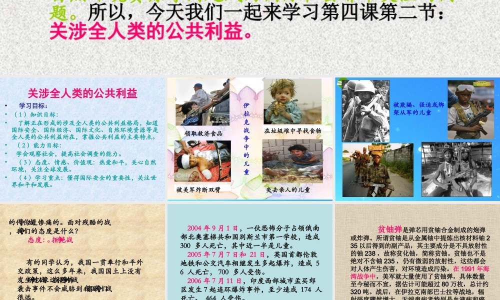 八年级政治下册 关涉全人类的公共利益课件 教科版 课件