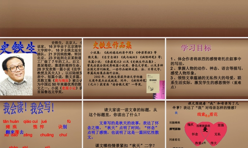 七年级语文上册 2(秋天的怀念)课件 (新版)新人教版 课件