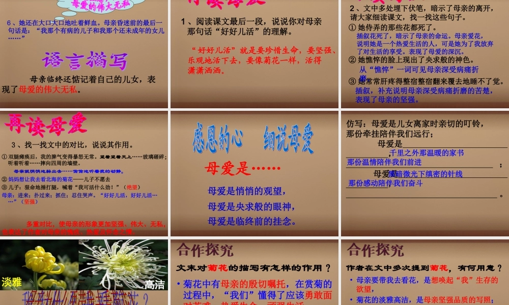 七年级语文上册 2(秋天的怀念)课件 (新版)新人教版 课件