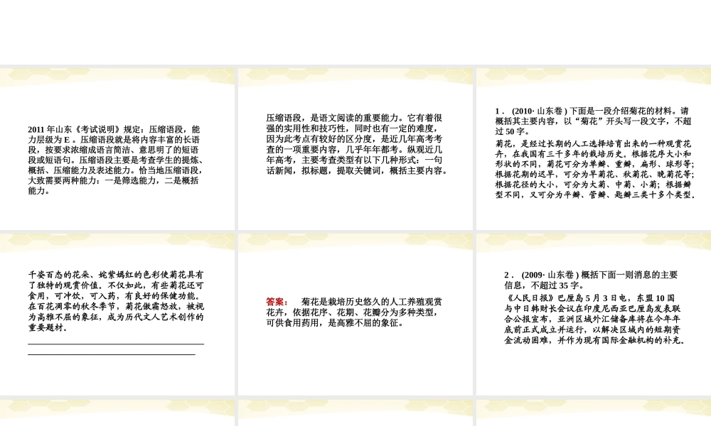 山东省高考语文一轮专题复习 压缩语段课件