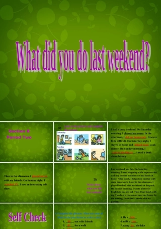 七年级英语下册 Unit 12 What did you do last weekend Section B课件2 (新版)人教新目标版 课件