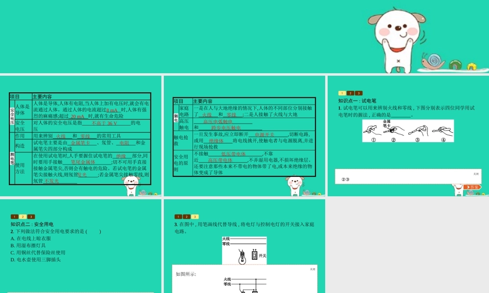 九年级物理全册 136 安全用电课件 (新版)北师大版 课件