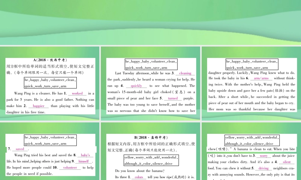 九年级英语全册 专题训练 专题8 短文填空课件 (新版)人教新目标版 课件