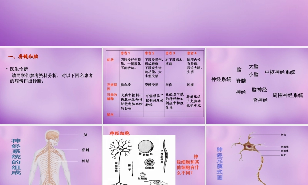 中学七年级生物下册 12.2 人体的神经调节课件 (新版)苏教版 课件