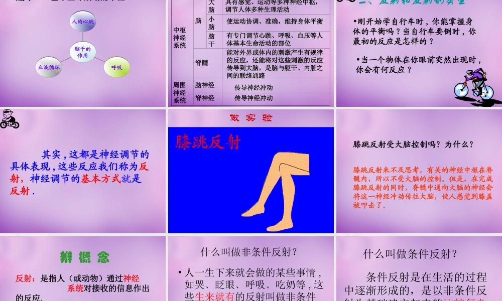 中学七年级生物下册 12.2 人体的神经调节课件 (新版)苏教版 课件