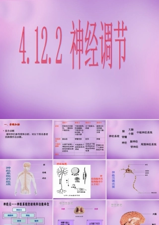 中学七年级生物下册 12.2 人体的神经调节课件 (新版)苏教版 课件