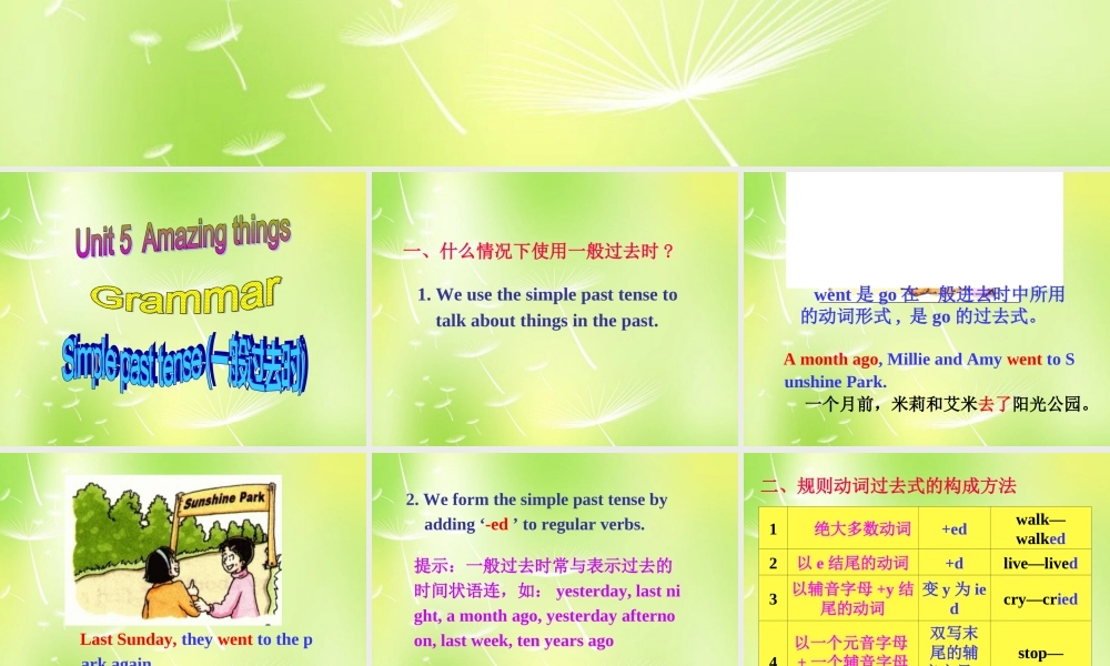 中学七年级英语下册 Unit 5 Amazing things Grammar课件 (新版)牛津版