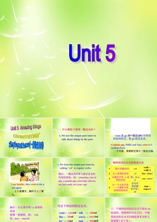 中学七年级英语下册 Unit 5 Amazing things Grammar课件 (新版)牛津版