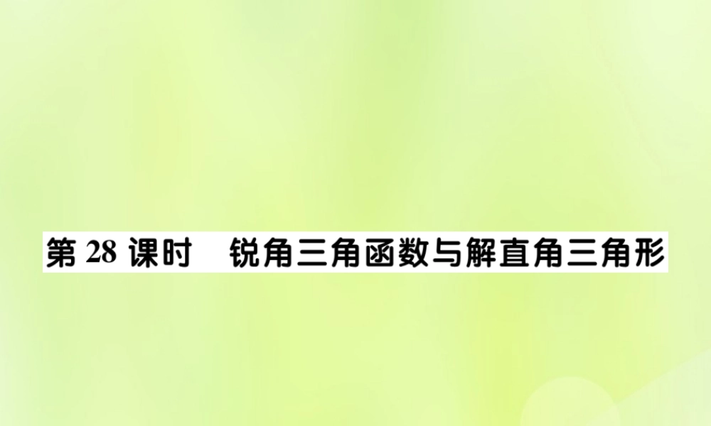 中考数学总复习 第一部分 考点梳理 第五章 图形的变换 第28课时 锐角三角函数与解直角三角函数课件