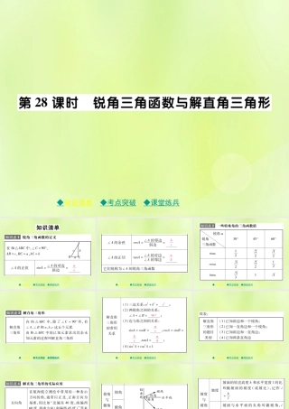 中考数学总复习 第一部分 考点梳理 第五章 图形的变换 第28课时 锐角三角函数与解直角三角函数课件