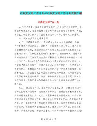 市委党支部工作计划与市委党支部工作计划表格汇编