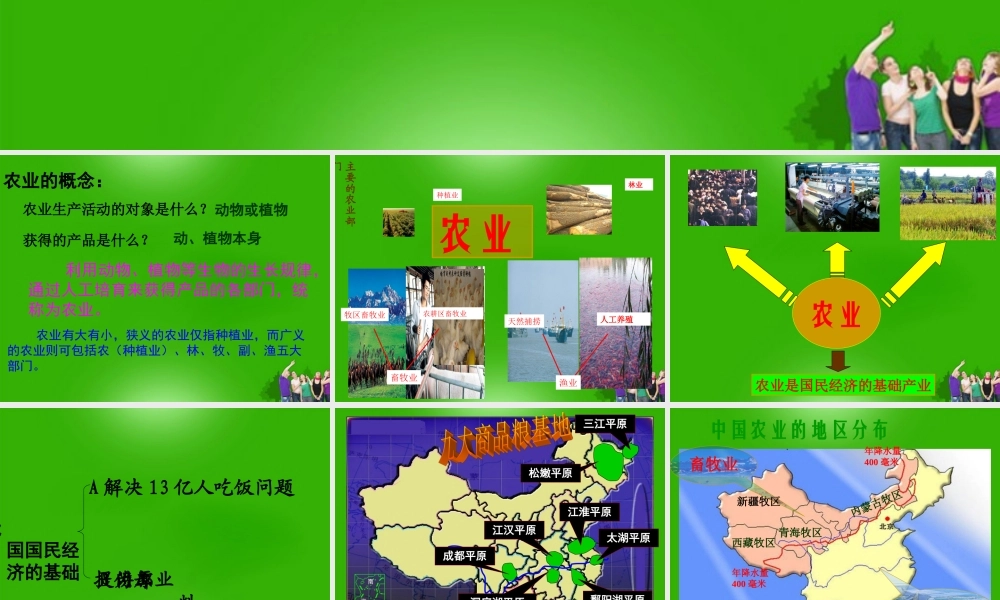八年级地理 (因地制宜发展农业)课件 粤教版 课件
