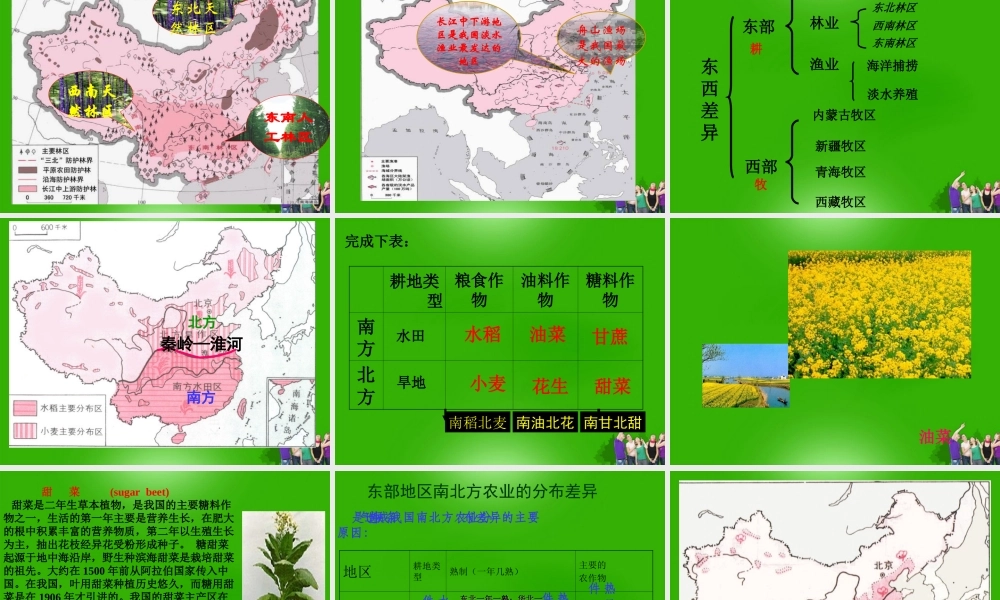 八年级地理 (因地制宜发展农业)课件 粤教版 课件