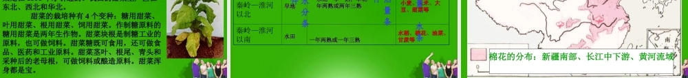 八年级地理 (因地制宜发展农业)课件 粤教版 课件