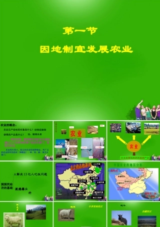 八年级地理 (因地制宜发展农业)课件 粤教版 课件