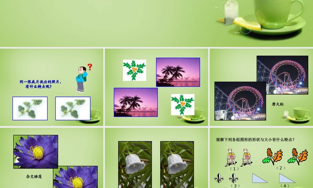 八年级数学上册 12.1(全等三角形)教学课件 (新版)新人教版 课件