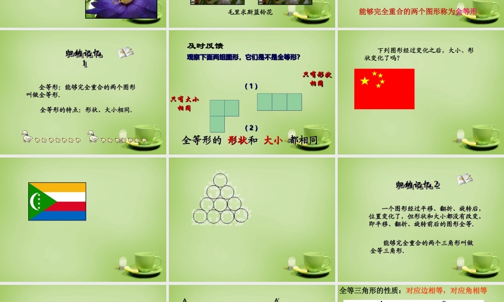 八年级数学上册 12.1(全等三角形)教学课件 (新版)新人教版 课件