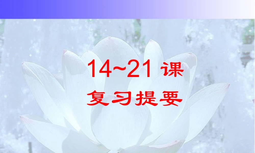 九年级历史第14-21课复习提要 新课标 人教版 课件