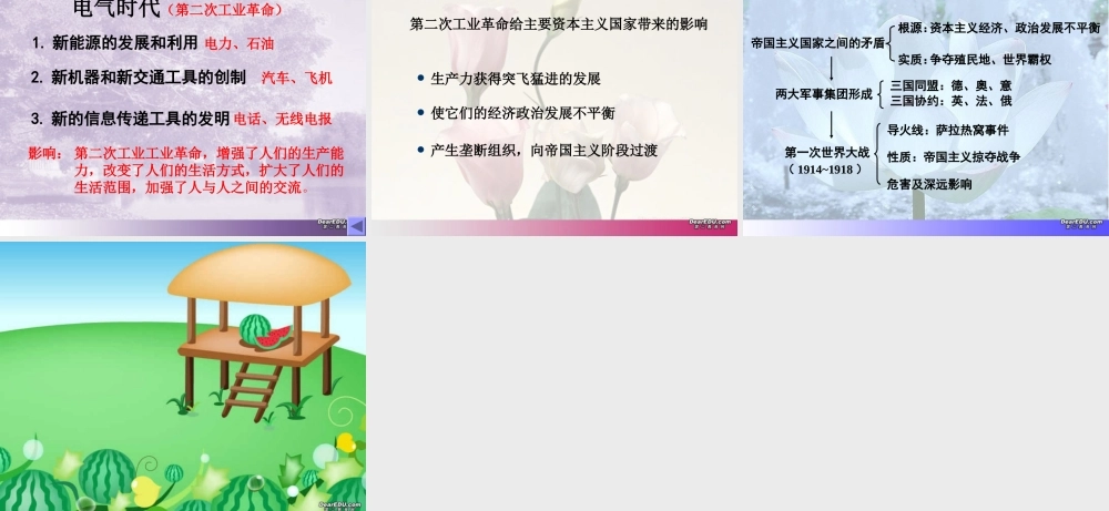 九年级历史第14-21课复习提要 新课标 人教版 课件