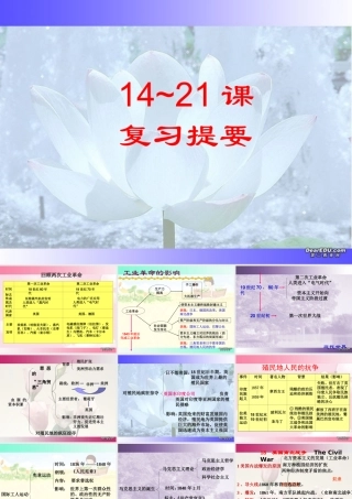 九年级历史第14-21课复习提要 新课标 人教版 课件