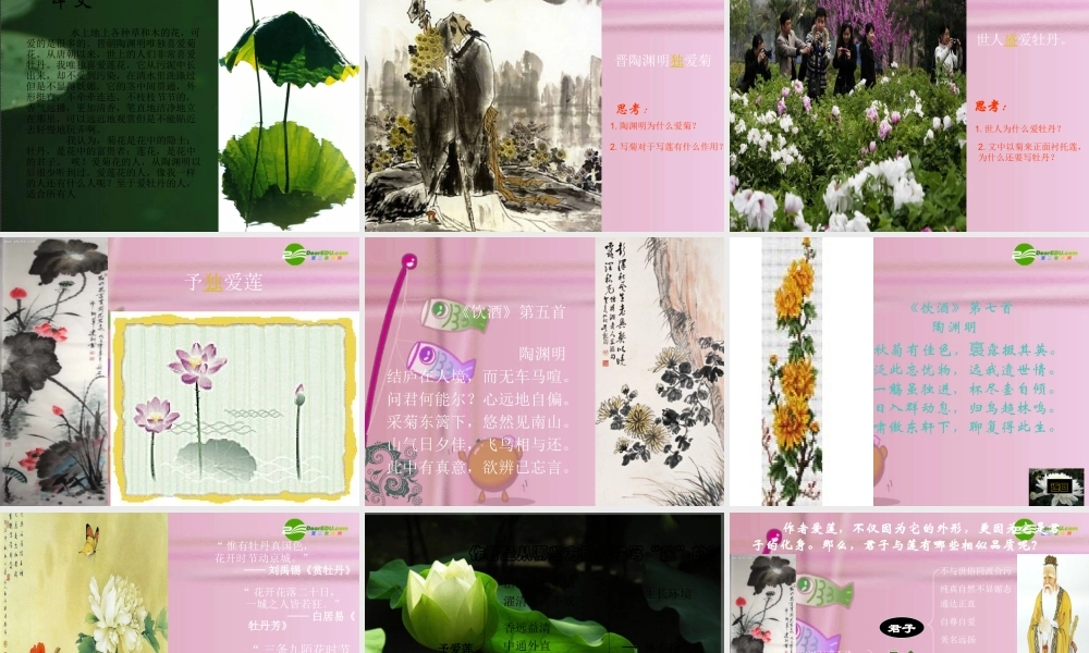 八年级语文上册 (爱莲说)教学课件 人教新课标版 课件