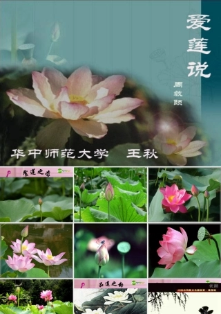 八年级语文上册 (爱莲说)教学课件 人教新课标版 课件
