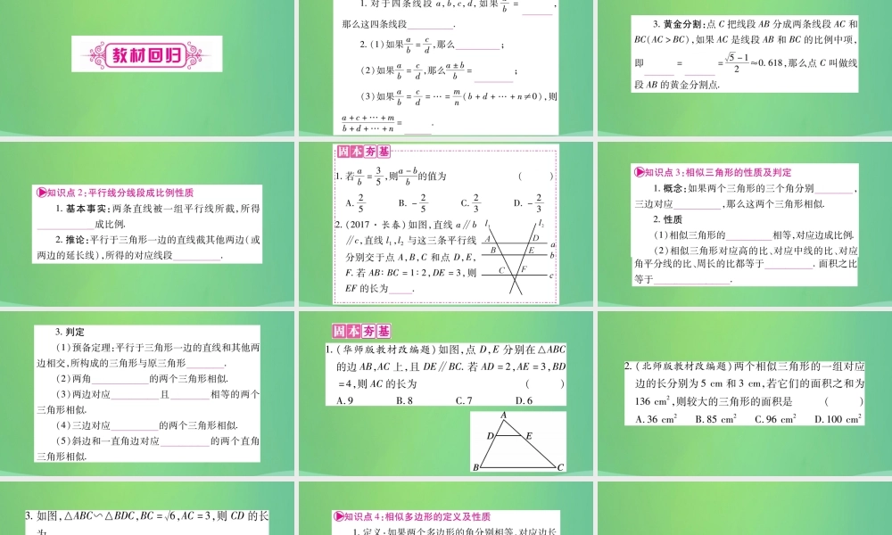 中考数学复习 第一轮 考点系统复习 第四章 三角形 第四节 相似三角形(精讲)课件