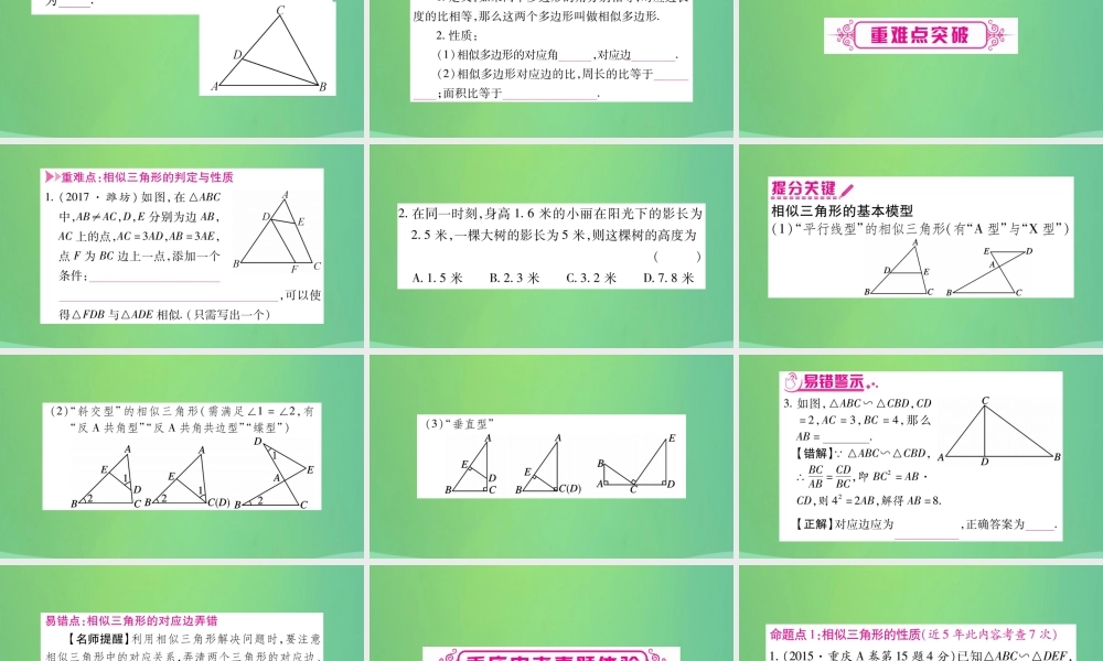 中考数学复习 第一轮 考点系统复习 第四章 三角形 第四节 相似三角形(精讲)课件