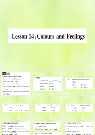 七年级英语上册 Unit 3 Body Parts and Feelings Lesson 14 Colours and Feelings课件 (新版)冀教版 课件