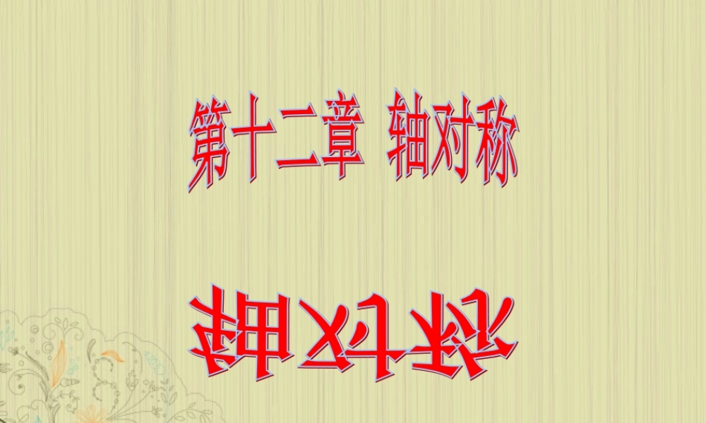 山东省东营市七年级数学(轴对称)课件1 人教新课标版 课件