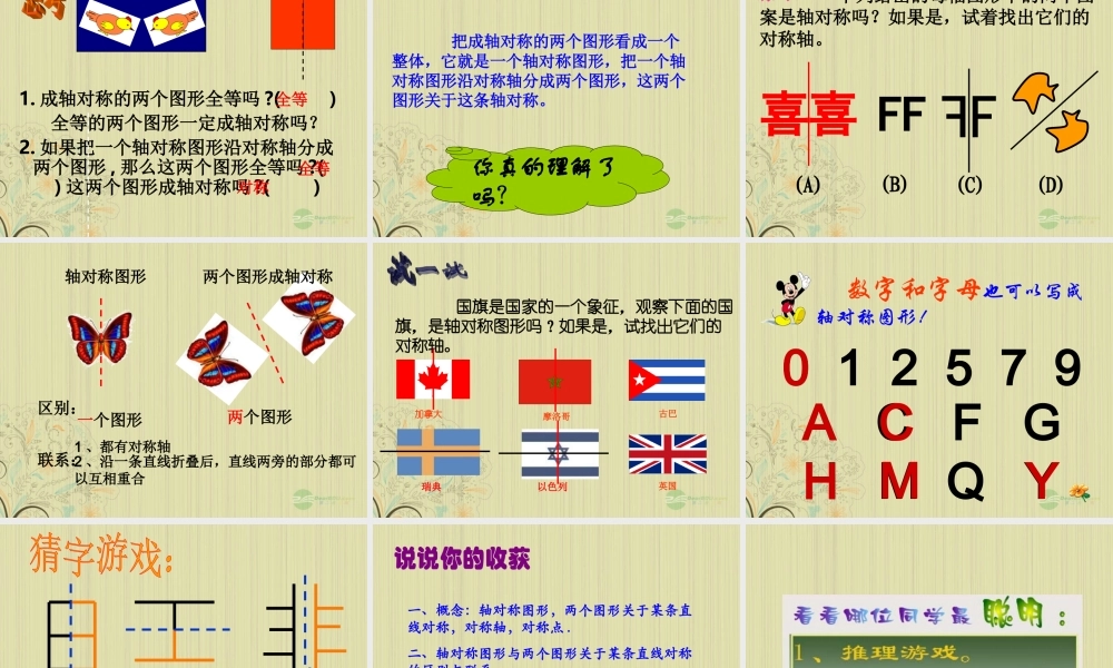 山东省东营市七年级数学(轴对称)课件1 人教新课标版 课件