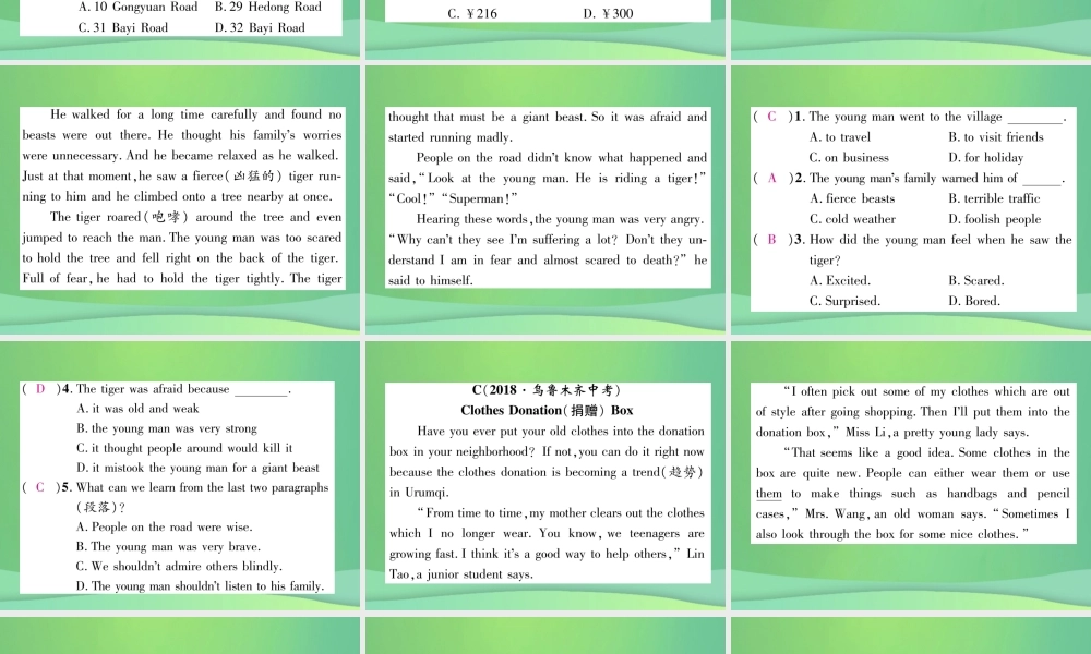 九年级英语全册 专题训练 专题6 阅读理解课件 (新版)人教新目标版 课件