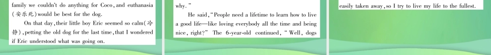 九年级英语全册 专题训练 专题6 阅读理解课件 (新版)人教新目标版 课件