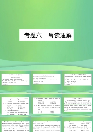 九年级英语全册 专题训练 专题6 阅读理解课件 (新版)人教新目标版 课件