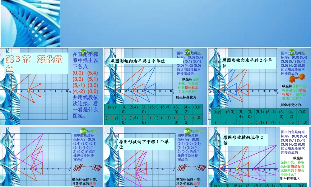 八年级数学上册(变化的鱼)课件 北师大版 课件